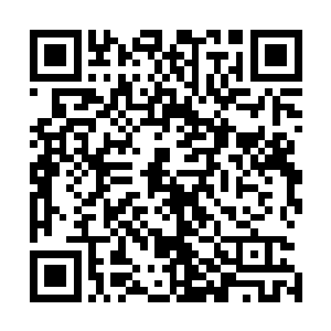 张铁就看到两道流星一样的光华从仪阳城中的一座山上飞起二维码生成