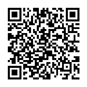 张铁就知道沙林长老他们已经做足了圣光帝国的功课二维码生成