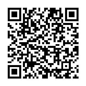 张铁就能为这多出来的百分之一的可能付出一切的代价二维码生成