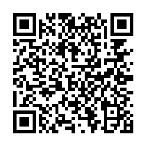 张铁已经可以把龙皇的一言一行模仿得有八九成像二维码生成