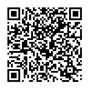 张铁带着白素仙再次从一个龙头张开的巨口之中经过验血进入到黑甲战堡之中二维码生成