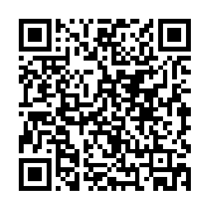 张铁带着装着龙皇的那四个字字轴的锦盒离开龙皇宫二维码生成