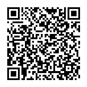 张铁并不知道此刻他面临着一个可以决定他和许多人未来命运的选择二维码生成
