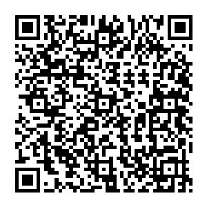 张铁怎么也想不通那种单调而乏味的手动式单缸活塞运动和那种飞行器之间有什么必然的联系二维码生成