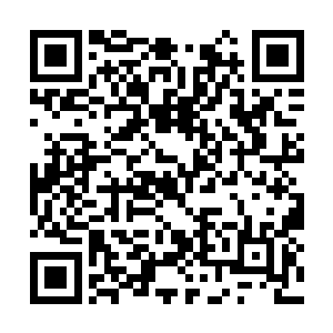 张铁感觉这次来这颗小树好像又比上次茂盛了一点二维码生成