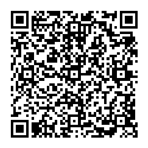 张铁所做的就是和一个建筑专家团队围绕着一堆图纸商量讨论了一下城堡的各项基本功能和用途二维码生成