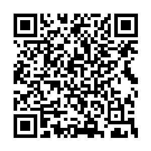 张铁打算把特蕾莎嬷嬷和那些小家伙们一起带走二维码生成