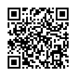 张铁把手放到那颗贝壳一样的果实上二维码生成