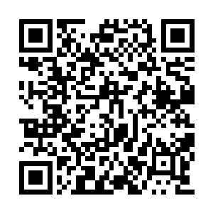 张铁最开始的确在质问秦五为什么会离开福海城二维码生成