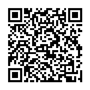 张铁毫不客气的就在小树边上一边摘果子一边大吃起来二维码生成