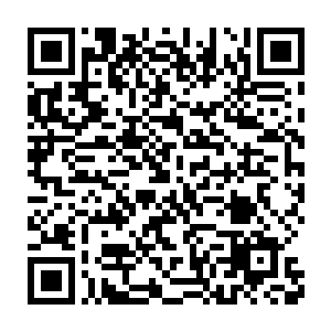 张铁甚至都习惯了每天都要吃上一个铁胎果来强化一点自己身体的防御二维码生成