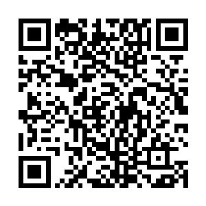 张铁用自己的精神力在虚空之中塑造了一个无形的球体二维码生成