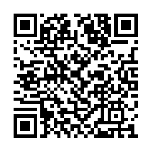 张铁的两位大嫂和琳达她们则在关注着那些孩子二维码生成