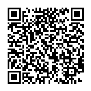张铁的大嫂和琳达她们也各自拿出自己的准备好的礼物送给爱梅和爱雪二维码生成
