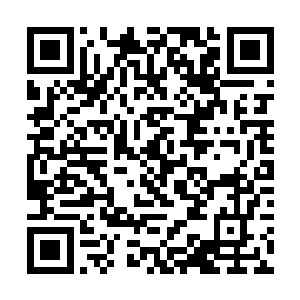 张铁的大部分时间都在大厅与傀儡战偶的磨练中渡过二维码生成