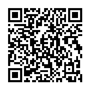 张铁的战技和武技在短时间内也得到了突飞猛进般的成长二维码生成