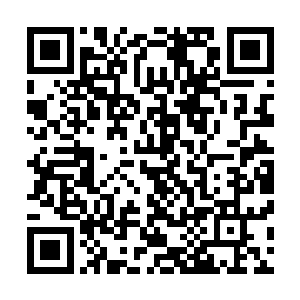 张铁的战技和铁胎果带来的抗击打能力几乎每天都在进步着二维码生成