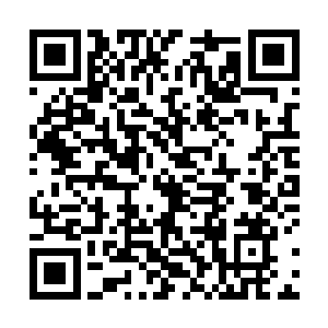 张铁的目光落在了她抱着那只玩具狗的右手的无名指上二维码生成