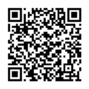 张铁的短矛带着铁牙鬣狗的心脏溅射出来的血浆二维码生成