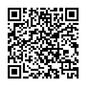 张铁的第一个反应就是这些整日与自己搏杀的野狼们二维码生成