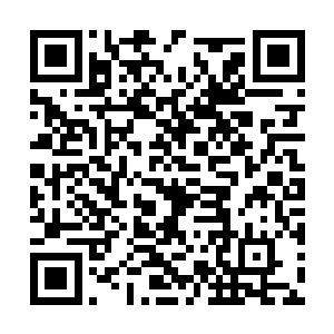 张铁的老爸老妈也就抱着帮张铁占着一个坑的想法二维码生成