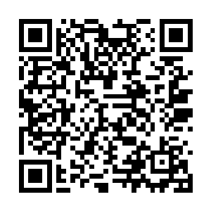 张铁的老爸老妈他们此刻正在房车顶部的观景台上二维码生成