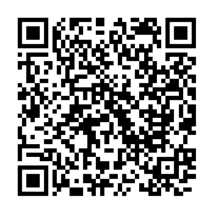 张铁的老爸老妈却义无反顾毫不犹豫的站在了张铁和张阳两兄弟一边二维码生成