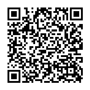 张铁的老爸老妈老哥还有琳达几个人都知道了风苍梧的骑士身份和天机宗的出生二维码生成