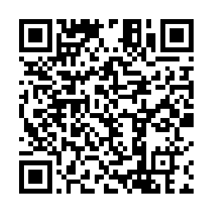 张铁的脑海中出现了三条海蛇和铁石滩那片海域的影子二维码生成