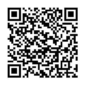 张铁看到了躲在一片岩石后面蜷缩成一团的那只铁皮蝾螈二维码生成