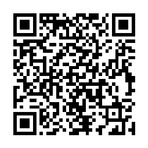 张铁看到这些恶心的地狱黑蜘蛛连同伴的尸体都不放过二维码生成