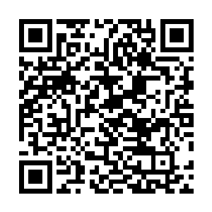 张铁看着远处的午马桥和此刻刚刚从桥上飞过的一群麻雀二维码生成