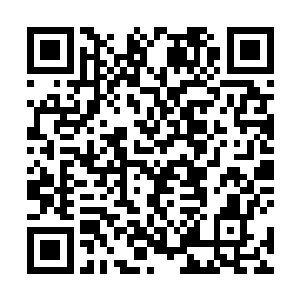张铁经历的并不只是单纯的战斗和战场上的感悟与提高二维码生成