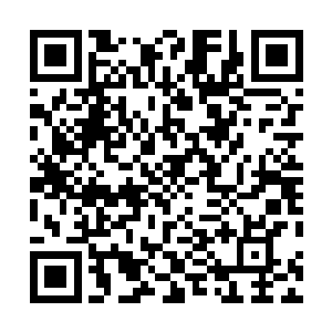 张铁老爸一把就拽住了身旁的两个小青年和他一起往外跑二维码生成