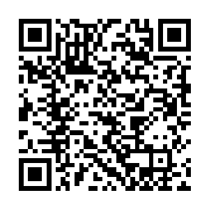 张铁脑海中原本的那一圈雾气无论是从数量还是质量上二维码生成