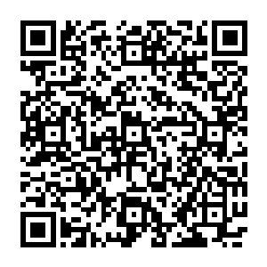 张铁自己都不知道为什么那几个银币一身的衣裳在老头从岩浆里走出来后居然还是这幅模样二维码生成
