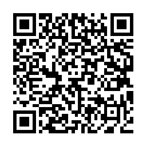 张铁觉得自己全身的每个细胞这个时候都像兴奋得想要唱歌一样二维码生成