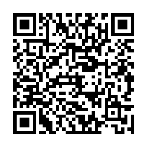 张铁还真的想把琳达等人带上一起来一趟蜜月旅行二维码生成