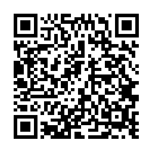 张铁这几天下来则有一个无奈的发现――在整个布拉佩二维码生成