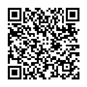 张铁都能感受得到神经大条的刘家兄弟心中的那份惊悸二维码生成
