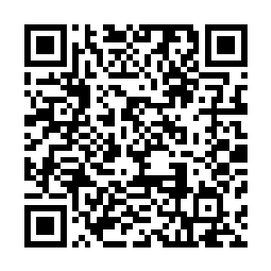 张铁重点检查的是齐老怪那些碎块的手部和颈部以下的地方二维码生成