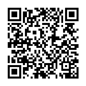 张陟就发疯一样的闪开战象的纠缠呼喝着自己的部下二维码生成