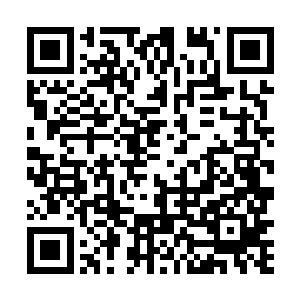 张青不可能不知道陈观就是他接待过的那个憨大胆陈观二维码生成