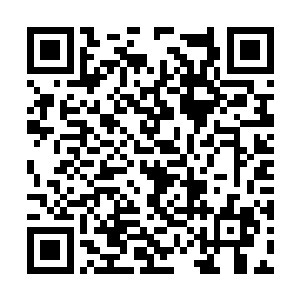 张靓决定把陈平和韩信的两条发展道路摆在他面前二维码生成