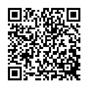 张靓只能从这些传承之中挑选自己觉得需要学的东西来充实自己二维码生成