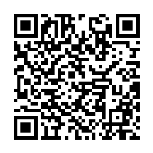 张靓就已经来到了万年妖木心感知到的育灵所在地二维码生成