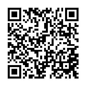 张靓等十二名核心弟子是最早进入楼船的部分学员二维码生成