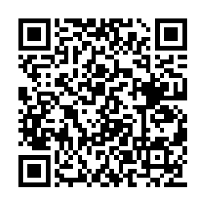 张静宜也有一两次和骆贵祥一起到市政府这边来二维码生成