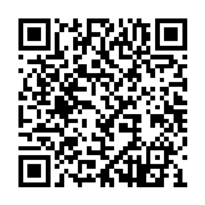 张韩眼看着越来越多的红色光点从黑暗中冒出来二维码生成