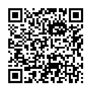 张龙刚刚已经将秦月瑶的一些情况都告诉了风天翔二维码生成